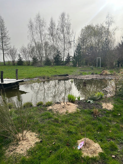 Ściółka lniana zastosowana w ogrodzie wokół roślin i drzew