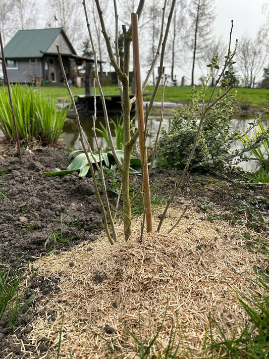 Ściółka 100% len do ogrodu neutralne pH 12kg